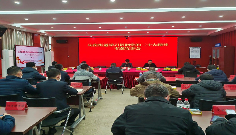 市委宣讲团成员到马峦街道宣讲党的二十大精神